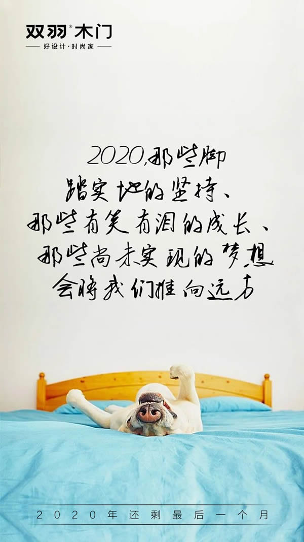 双羽木门 | 2020年最后一月再拼一把